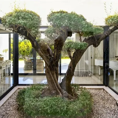 Casa Menard * Marbella